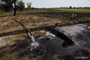 Irrigation has made the farms that do get water more productive.