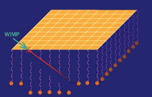 In a proposed method for detecting dark matter, particles of dark matter would smack into gold, kicking off atomic nuclei that would sever strands of DNA in their paths.