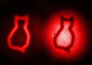 The cats represent the famous Schrödinger cat paradox, in which a quantum cat closed in a box can be dead and alive at the same time. The dark and light cat body outlines are images of an etched piece of silicon. They arise due to destructive and constructive quantum interference, respectively. In this experiment the photons that interact with the silicon are not detected, while the images are obtained by detecting only photons that never interact with the object.