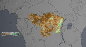 In the Congo rainforest, a browning trend (brown) dominates smaller areas that show a greening trend (green) during April, May and June each year from 2000 to 2012.