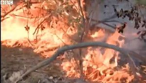 Footage shows the flames engulf huge parts of the Californian countryside