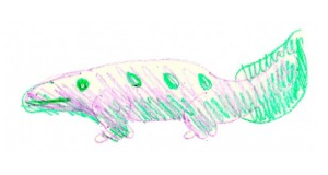 salamander-like creature