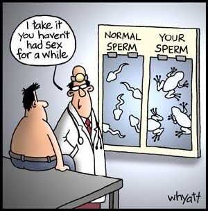 Sperm cartoon