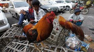 Street vendors sell chickens at a market in Phnom Penh, Cambodia, in early 2013. Last year Cambodia reported more cases of H5N1 bird flu than any other country.