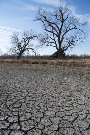 Cracks form in the bed of a dried lake in Waterloo, Neb. The drought withered crops and dried out lakes across the nation's midsection in 2012.