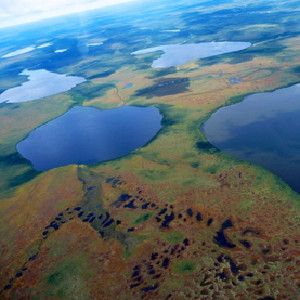 Hudson Bay Lowlands are staying greener for longer as temperatures rise.