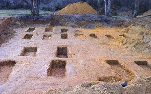 Empty burial sites at the site of the Dozier School for Boys, where researchers say they have found the remains of 55 children. For years, the reform school was notorious for the brutal treatment of its inmates.