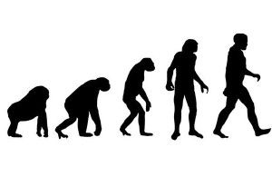 In its first year, BAH! (Festival Bad Ad Hoc Hypotheses) will celebrate exquisitely argued evolutionary hypotheses — that just happen to be hopelessly, terribly wrong.