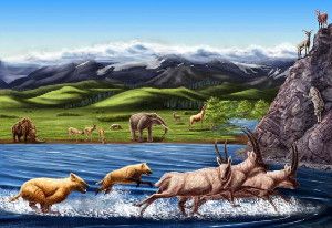 This is an artist's reconstruction of the fauna of Zanda basin - the richest basin on the Tibetan Plateau - from the Pliocene (about 5 to 3 million years ago). Image credit: Julie Selan / Natural History Museum of Los Angeles County.