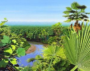 Artistic reconstruction of a post-Chicxulub impact forest. Image credit: Donna Braginetz / Denver Museum of Nature & Science.