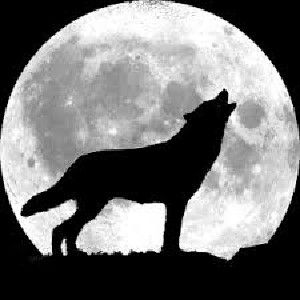 Wolf howling at a full moon