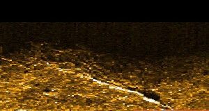 Is this the Electra? A grainy sonar image captured off an uninhabited tropical island in the southwestern Pacific republic of Kiribati might represent the remains of Amelia Earhart's plane.