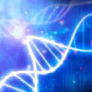 Parsing the 'Junk' of the genome: Researchers have now found that much of the space on the genome between genes is extremely active in keeping our genes working as they should.
