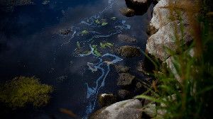 An oil sheen appears along the shore of the Kalamazoo River in August 2012. In July 2010, more than 800,000 gallons of tar sands oil entered Talmadge Creek and flowed into the Kalamazoo River, a Lake Michigan tributary. Heavy rains caused the river to overtop existing dams and carried oil 30 miles downstream.