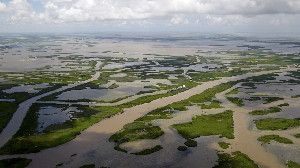 Canals created for navigation and oil and gas pipelines cut through the marsh off the coast of Louisiana, seen in 2010.