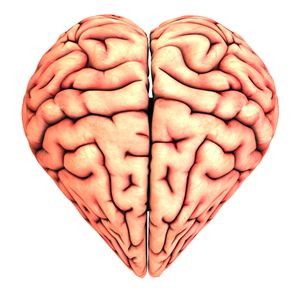 Love brain