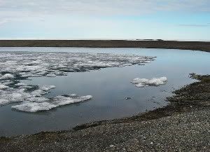 Algae were once abundant in the lake Kaffeklubben So, seen in a recent picture.