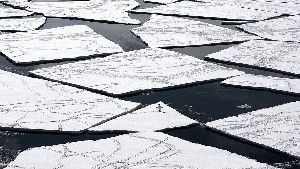 A lone emperor penguin makes his rounds, at the edge of an iceberg drift in the Antarctic's Ross Sea in 2006.