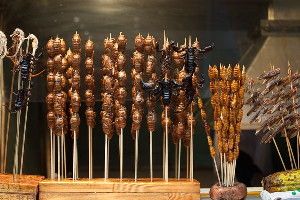 Skewered scorpions, sea horses, grasshoppers, and cicadas (center) for sale in Beijing in 2009.
