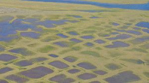 This photo taken during the CARVE experiment shows polygonal lakes created by melting permafrost on Alaska's North Slope.