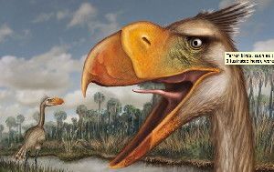 Bones of a new terror bird confirm the creatures used their beaks to hatchet their prey but also raise questions about what drove the birds extinct.