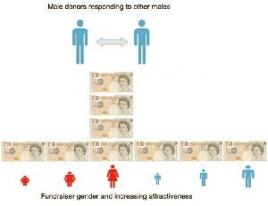 In competitive helping in donations made to online fundraising pages, males respond competitively to donations made by other males, but only when giving to an attractive female fundraiser. Female donors do not compete in this way. These findings suggest a role for sexual selection in explaining conspicuous generosity.