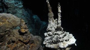The new group of archaea was discovered in sediments along the Arctic Mid-Ocean Ridge