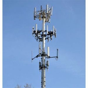 Stung: Law enforcement agencies sometimes use a device called a stingray to simulate a cell phone tower, enabling them to gather international mobile subscriber identity (IMSI), location and other data from mobile phones connecting to them. Pictured here is an actual cell tower in Palatine, Ill.