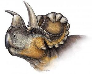 This is a ife reconstruction of Wendiceratops pinhornensis.