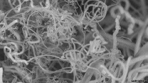 Out of thin air - carbon nanofibres