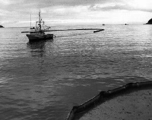 FILE- This May 4, 1989, file photo shows a finishing vessel, Blue Dolphin towing boom in Wildcat Cove, Alaska, during the ongoing effort to clean the waters off the Kenai Peninsula. According to a study published Tuesday, Sept. 8, 2015, in the online journal Scientific Reports, federal scientists have determined that extremely low levels of crude oil spilled by the Exxon Valdez caused heart problems in embryonic fish, a conclusion that could shape how damage is assessed in other major spills. (AP Photo/David M. Santos, File)