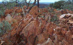 Fossil-like rock found in Australia contain hints of life from 4.1 billion years ago Photo: Bruce Watson/Proceedings of the National Academy of Sciences (PNAS) via AP