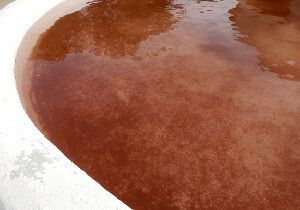 Water in a basin in Fuente Encalada (Zamora) was stained red by the algae Haematococcus pluvialis, brought by the rain.