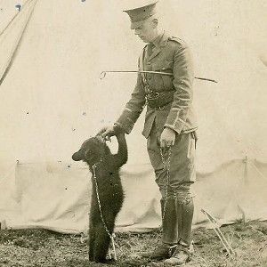 Harry Colebourn brought Winnie from Canada in 1914