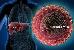 Hepatitis virus