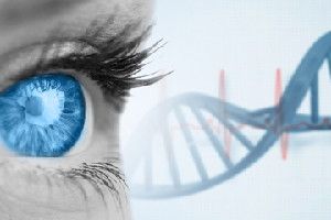 Eye/DNA