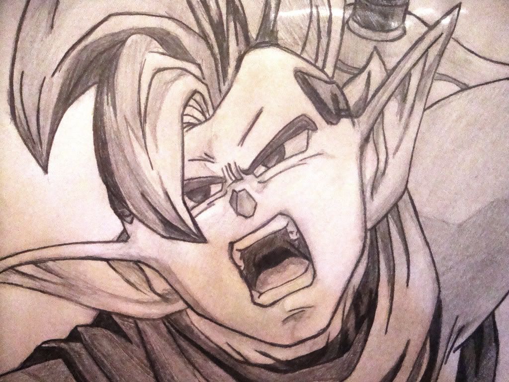 goku. ssj goku. ssj