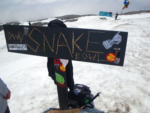 snake bowl sign 1