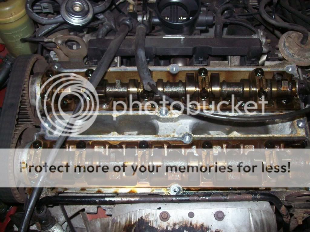 Breaking down the 2.0l zetec DOHC. | Focus Fanatics Forum