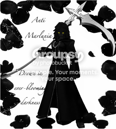 User Image